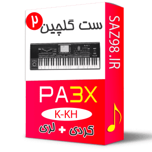 ست گلچین کردی ارگ pa3x