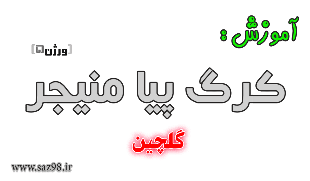 آموزش گلچین ست ارگ